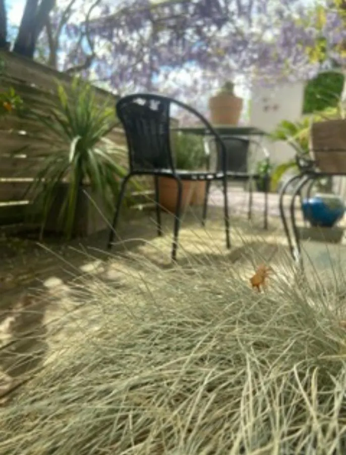 Holiday home La Glycine Villa Romans-sur-Isere